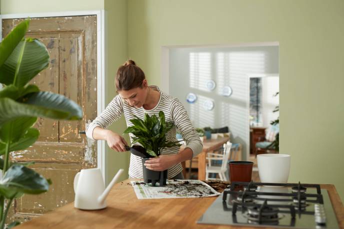 self-watering insert 36cm living noir